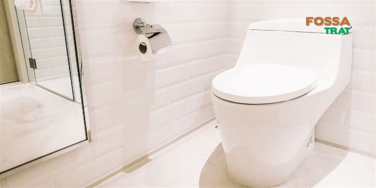 5 dicas simples para acabar de vez com o mau cheiro do vaso sanitário